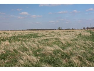 Tract 8 - LAND & MINERAL ACRES OKLAHOMA AUCTION, 588+/- Land & Producing Mineral Acres offered in 24 Tracts in Okmulgee County